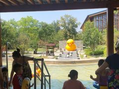 -思念果岭悦温泉