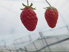-金稼园·金平湖农家菜