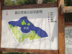 -新江湾城公园