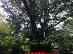 -西湖风景区十里琅珰-五云山