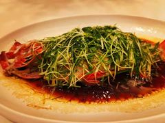 -T館·花园艺术餐厅
