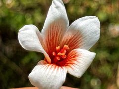 -舒家湾天主教堂