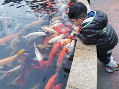 -国色天乡三期陆地乐园