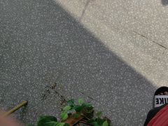 -锦里海景海鲜餐厅.三亚老字号(亚龙湾中心广场店)