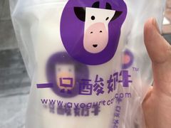 -一只酸奶牛(八一路店)
