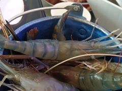 -澜悦港海鲜体验主题餐厅