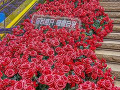 -万科生活广场(东莞松山湖店)