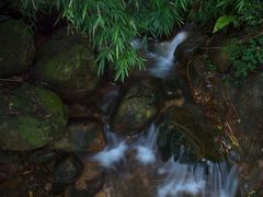 -牛鱼嘴原始生态风景区