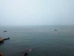 -枸杞岛