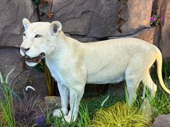 -西霞口神雕山野生动物世界