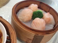 -东方御宴海鲜酒楼(棕泉酒店)