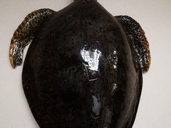 -东湖食堂·湖景餐厅•会议