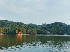 -西樵山风景名胜区-天湖公园