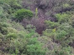 -蟠龙山长城景区