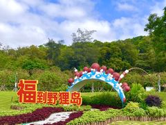 -野狸岛