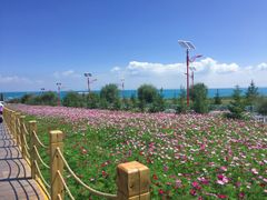 -青海湖国家重点风景名胜区