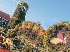 -荷兰花海