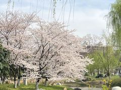-堤角公园