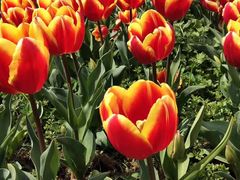 -漩门湾国家湿地公园