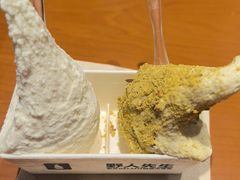 -野人先生现做冰淇淋(北京环宇荟店)