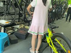 -道路口单车爱瓦士dahon大行