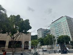 -金莲花广场