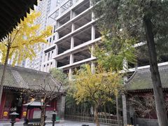 -罔极寺