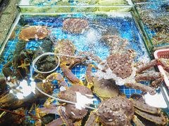 -霞涌市场海鲜摆卖区