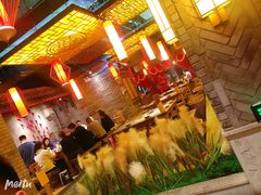 -小龙坎老火锅(金柏林店)