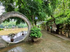 -老木棉·匠园