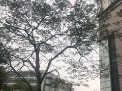 -嘉禾望岗(地铁站)