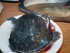 -傣妹火锅(南京东路一店)