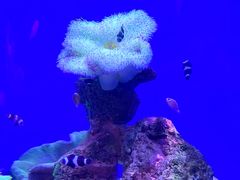 -海合安武汉极地海洋公园