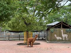 -苏州太湖西山岛开心农场