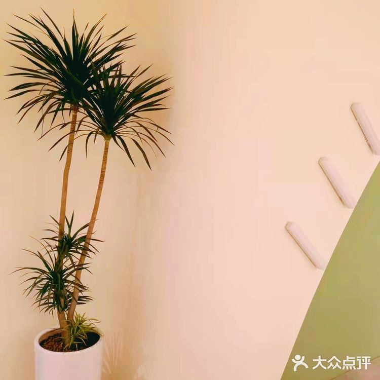 这家小清新SPA还不错