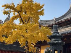 -龙华寺