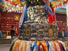 -西安市广仁寺