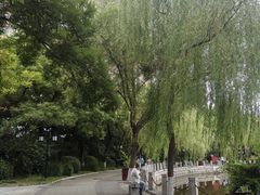 -文瀛公园