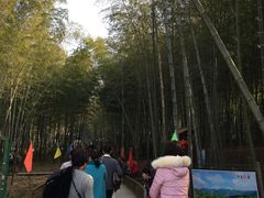 -陶祖圣境风景区