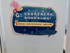 -斯坦星球AI编程·机器人科创·科学实验·信奥·思维·STEM·积木拼搭·竞赛考级(浦东联洋广场大拇指龙阳御桥中心)