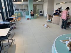 -怪兽屋·羊驼·猫咖·狗咖(俊华广场店)