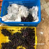 新鲜的葡萄🍇翠冠梨🍐