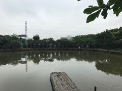 -长洲岛