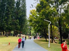 -人民公园(罗湖区)