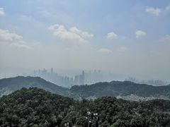-大金鹰园