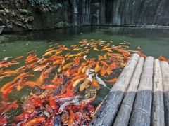 -千岛湖东南湖区