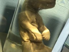 -泉城欧乐堡海洋极地世界