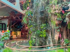 -正佳雨林生态植物园