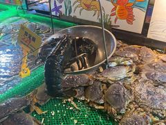 -79号渔船海鲜饭店(宝安店)