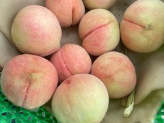 -老袁家蜜桃农场·阳山水蜜桃